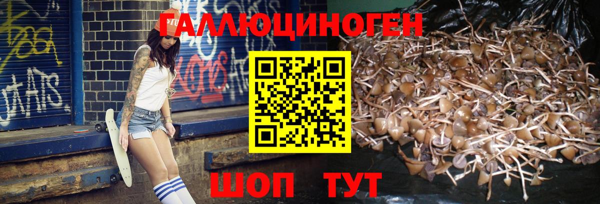 Псилоцибиновые грибы ЛСД Краснокамск