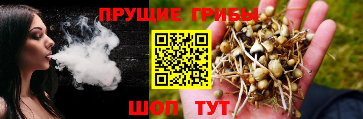 Краснокамск  Псилоцибиновые грибы ЛСД  Псилоцибиновые грибы ЛСД  Вход с VPN 